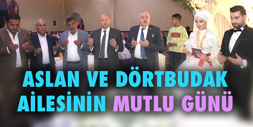 Aslan ve Dörtbudak ailesinin mutlu günü