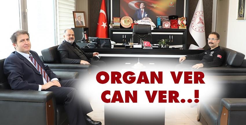 Organ ver, Can ver..!