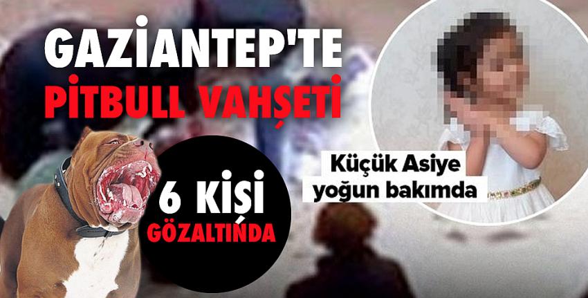 Çocuğu parçalayan pitbul vahşetine 6 gözaltı