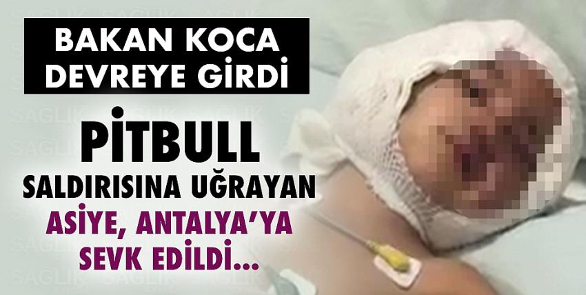 Pitbull saldırısına uğrayan Asiye Ateş Antalya’ya sevk edildi