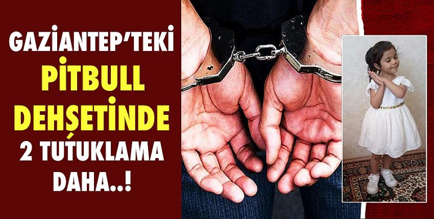 Gaziantep’teki pitbull dehşetinde 2 tutuklama daha!