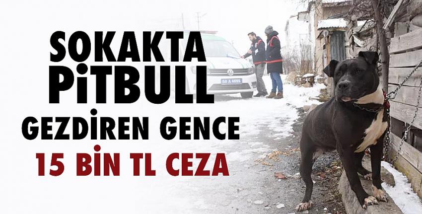 Sokakta pitbull gezdiren gence 14 bin 982 TL ceza