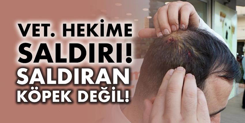 Veteriner hekime saldırı! Saldıran köpek değil!