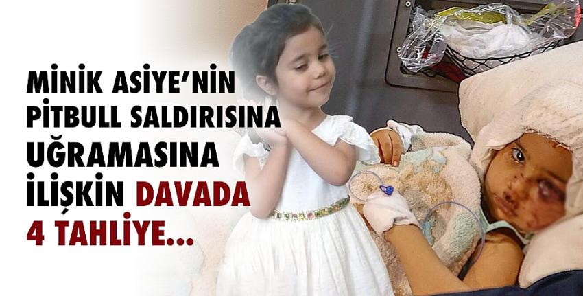 Asiye’nin pitbull saldırısına uğramasına ilişkin davada 4 tahlİye...