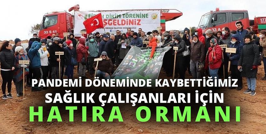 Sağlık çalışanları için Hatıra Ormanı